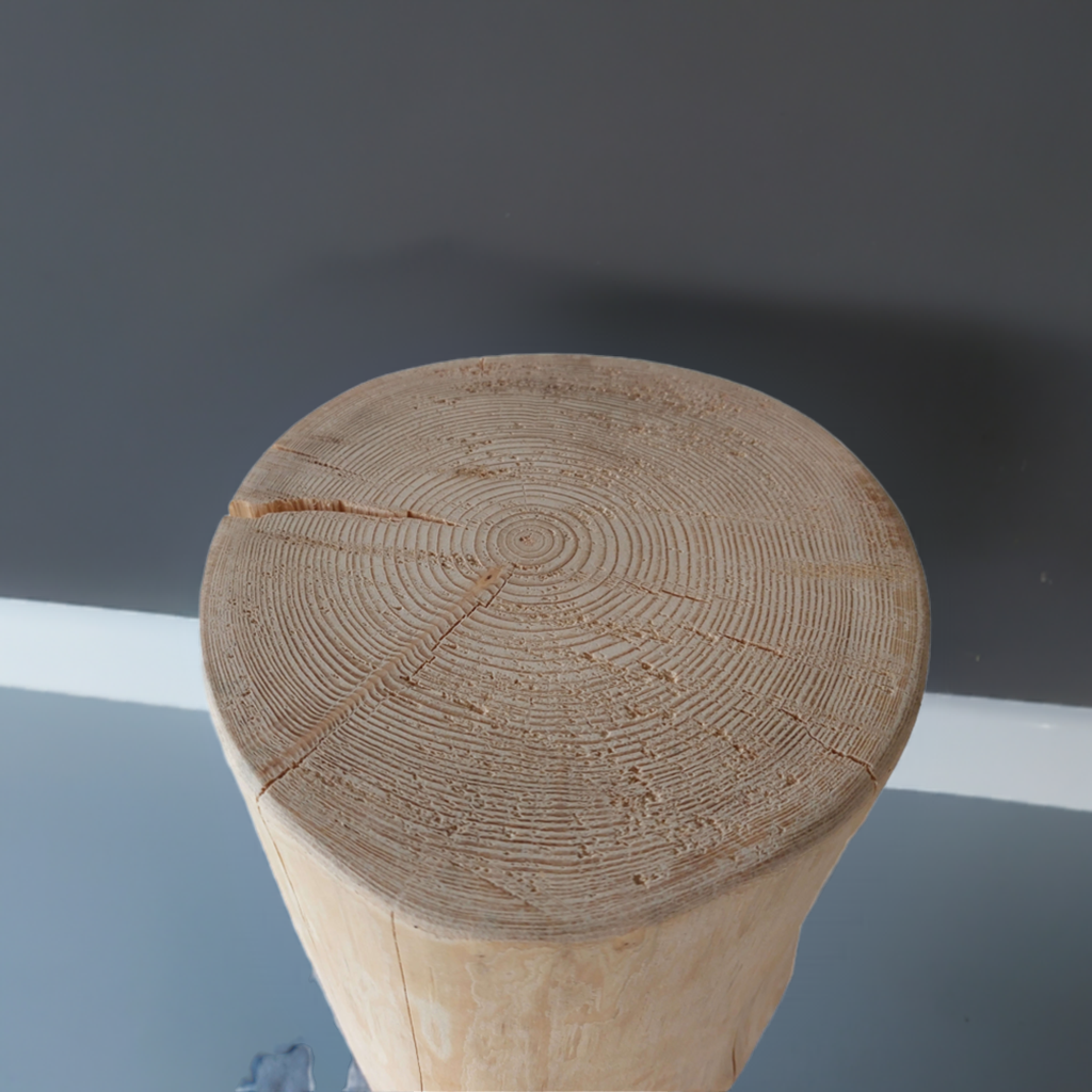 Rustikaler Hocker Beistelltisch Baumstamm Stamm Buche Massivholz modern stilvoll Designer Einrichtung Wohnzimmer Schlafzimmer Küche Arztpraxis Kanzlei Büro